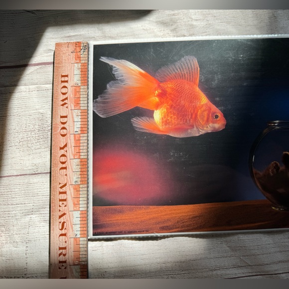 ๐ฌ CLEARANCE ITEM: NWT Summit Art Print Cat & Goldfish 8x10 print - Picture 4 of 5